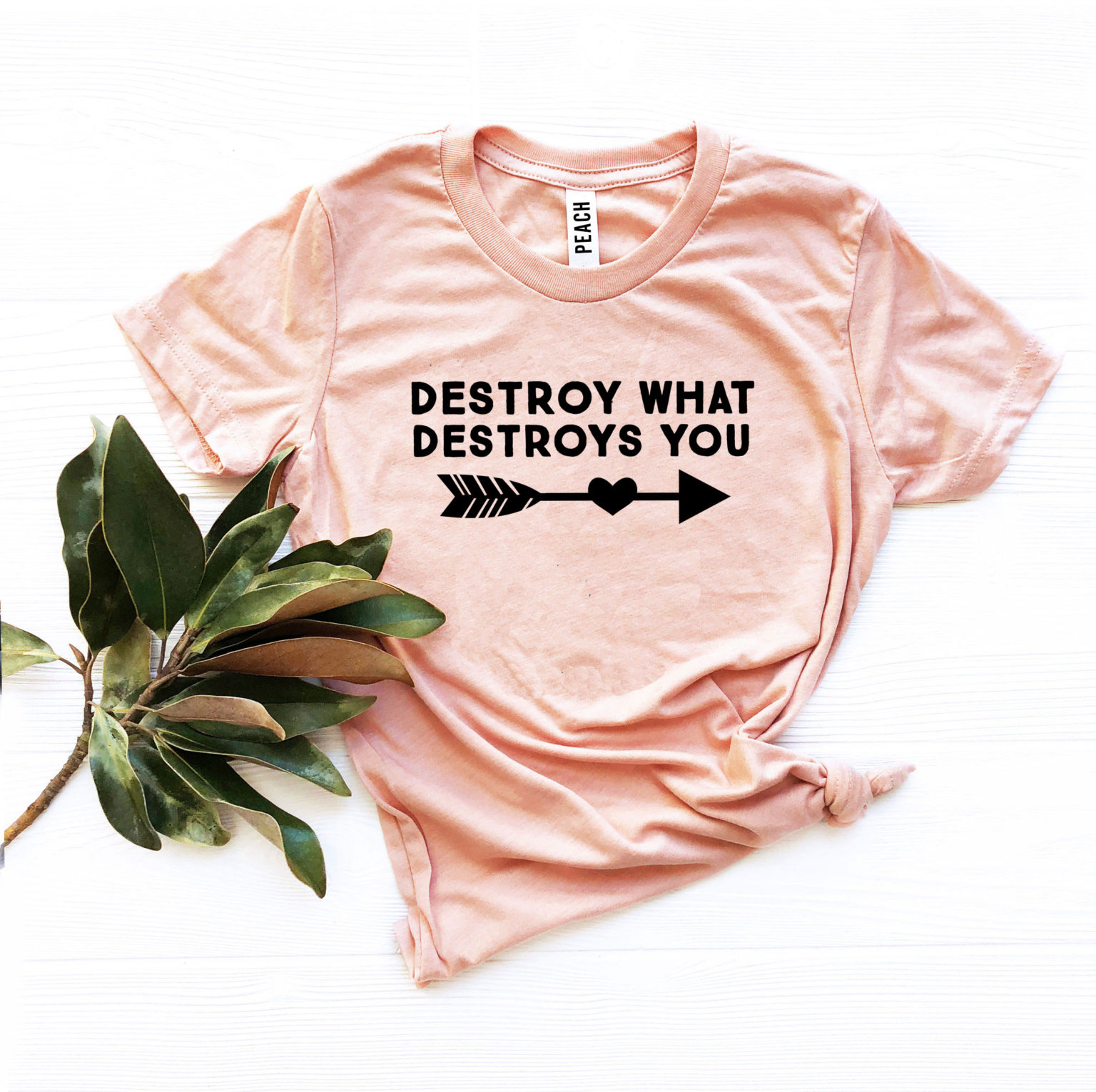 Destroy What Destroys You T-shirt – Printliss